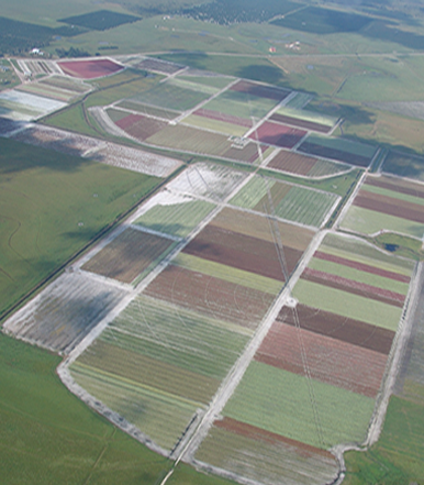 Classic Caladiums Farm- aerial view